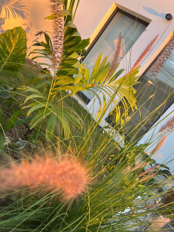 L'Empreinte-Oasis De Serenite Au Coeur D'Un Jardin Tropical Le Tampon Extérieur photo